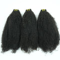 Ivoria 4C Curly Bundles